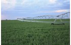 Property photo 54 - LAND AUCTION, 3255+/- Acres offered in 13 Tracts